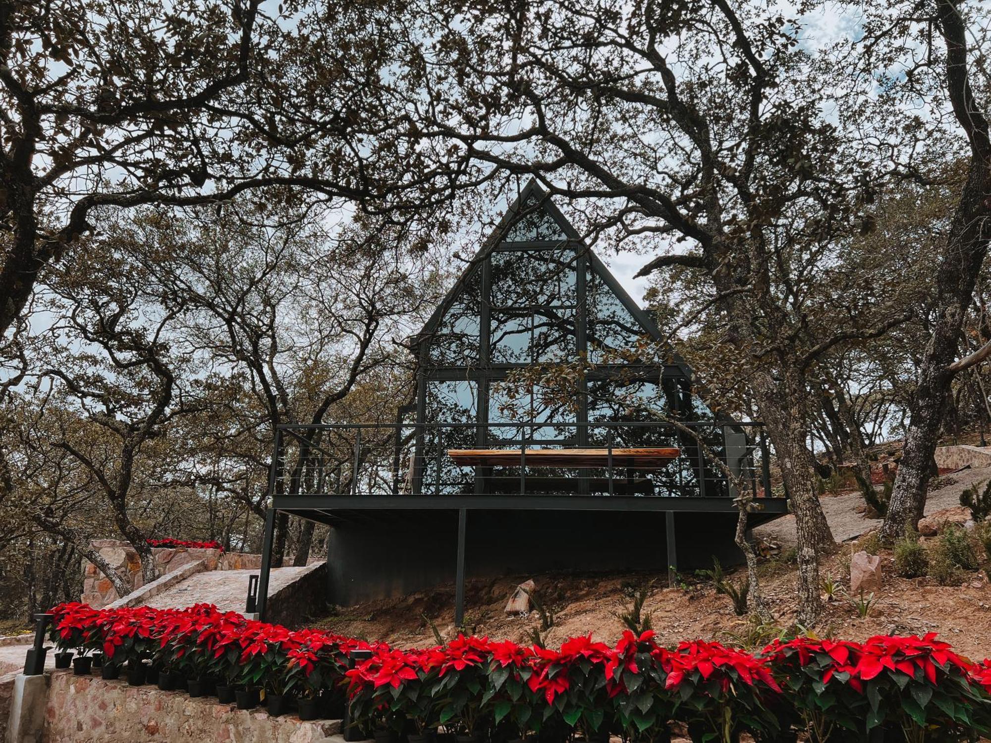La Foret Cabanas Boutique Leon Luaran gambar